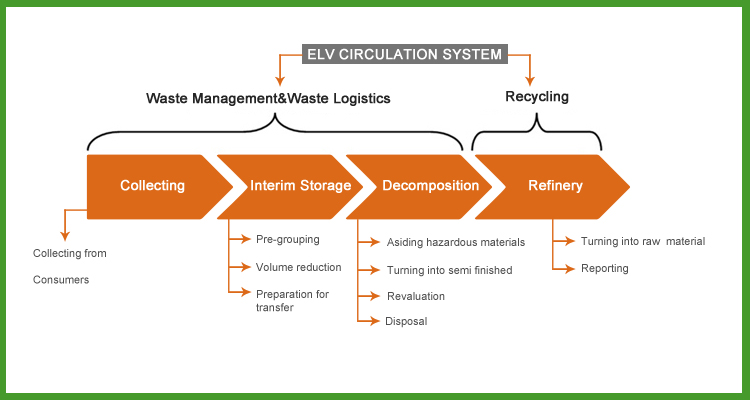 ELV Circulation System